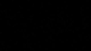 Barbara Gandalf si chiava un barbone