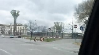 Amici italiani vanno a troie a Torino