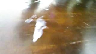 Bellissima trans nera sborra in webcam