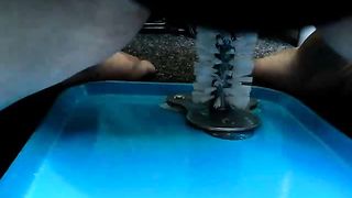 Sudicia moglie cicciona