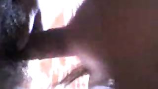 Vecchia troia rumena