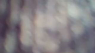 Si fa una sega sul bus