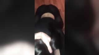 DAI PUTTANA Succhiamelo tutto !