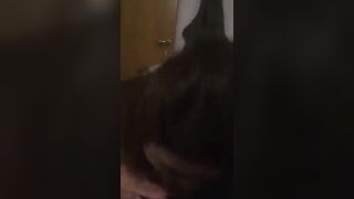 LA MIA FIDA LO INGOIA TUTTO