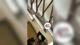 SGAMATI A TROMBARE NELLE SCALE