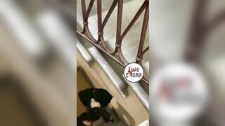 SGAMATI A TROMBARE NELLE SCALE