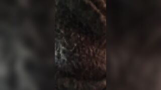 TROIA NAPOLETANA SBORRATA SULLE TETTE