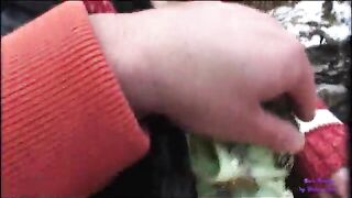 Giovane troietta inculata sulla neve