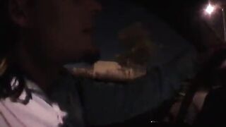 Il puttaniere a caccia di notte