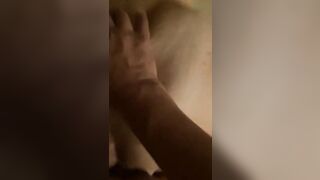 Troia di Pisa scopata alla pecorina