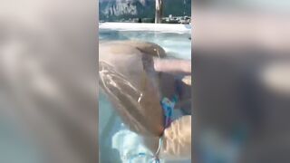 Trio italiano MMF all'hotel Griso Malgrate Lecco