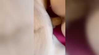 Due maschioni per la culona italiana