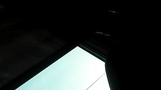 Farmacista troia troieggia sul treno