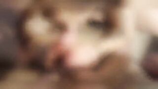 Moglie italiana inculata in motel