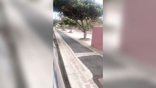 A passeggio sul lungomare con la mia vacca