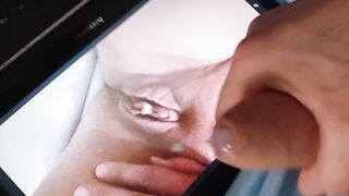 Tributo a coppia porca