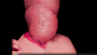 LA MIGLIOR BOCCA DA MUNGITURA