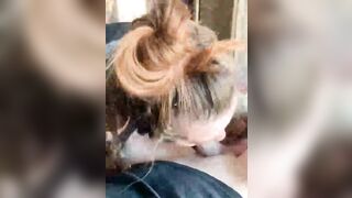 Come succhiano le mie troie