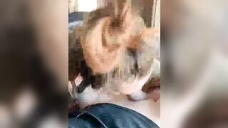 Come succhiano le mie troie