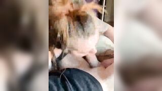 Come succhiano le mie troie