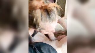 Come succhiano le mie troie