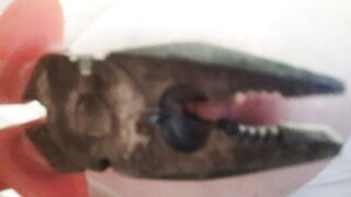 Capezzoli tirati e girati