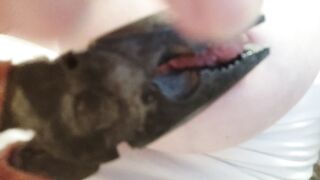 Duri aspettano delle belle sborrate