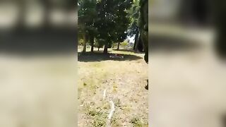 Sgamati dallo sbirro a trombare nel parco in pieno giorno