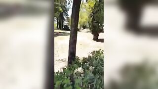 Sgamati dallo sbirro a trombare nel parco in pieno giorno