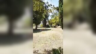 Sgamati dallo sbirro a trombare nel parco in pieno giorno