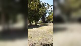 Sgamati dallo sbirro a trombare nel parco in pieno giorno