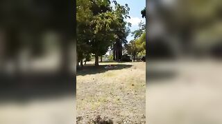 Sgamati dallo sbirro a trombare nel parco in pieno giorno