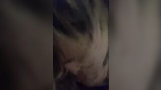 Troia napoletana fa un pompino al suo amante