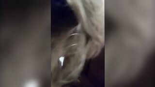 Troia napoletana fa un pompino al suo amante