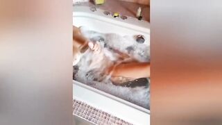 La porca di mia moglie