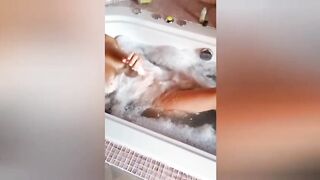 La porca di mia moglie