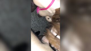 Pompino giovane fidanzata