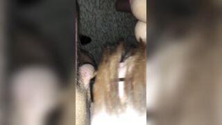 Pompino giovane fidanzata