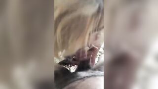 Pompino al mare moglie bionda italiana