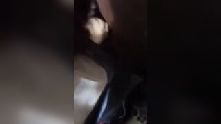 La bambolina mi succhia il cazzo