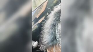 Le riempio la faccia di sborra in un parcheggio