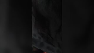 La mia compagna di calsse lo spompina (dialogo italiano )