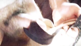 scopo le scarpe di mia moglie DIANA