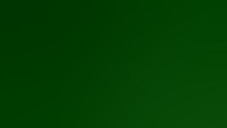 Coppie ( spiate ) che scopano come porci !