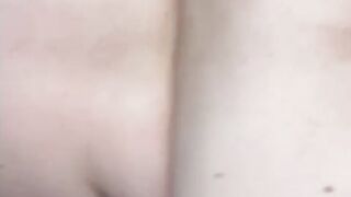 La scopo a pecora  2