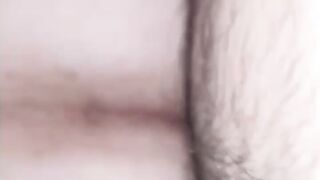 La scopo a pecora  2