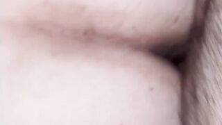 La scopo a pecora  2