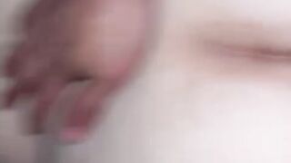 La scopo a pecora  2