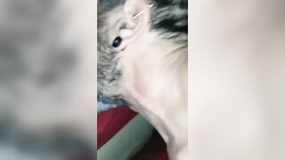 Leccata di fica e scopata