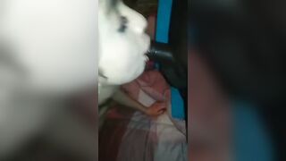 Diciottenne italiana spompina cazzo nero